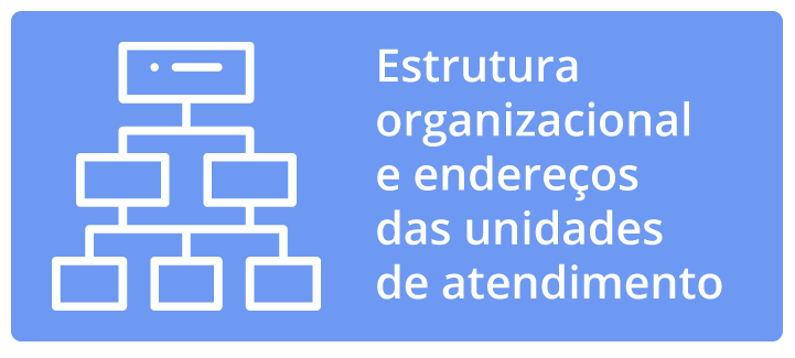 4. estrutura organizacional