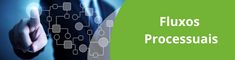 Fluxos Processuais