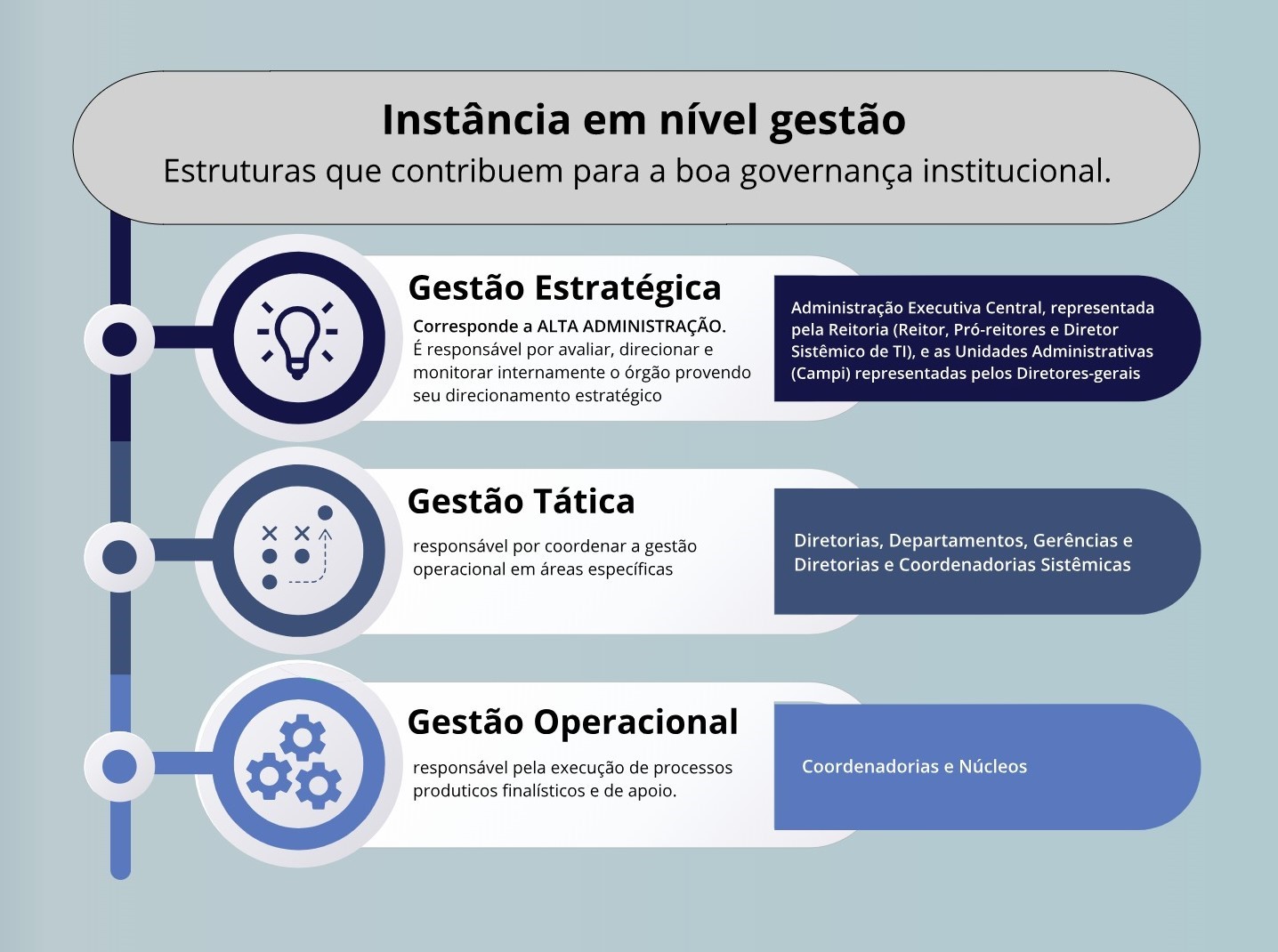 Figura instância em nível gestão