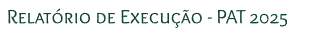 Relatório final 2025 fundo branco
